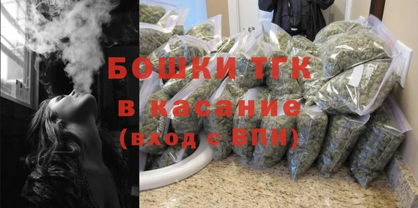 шишки Алексеевка