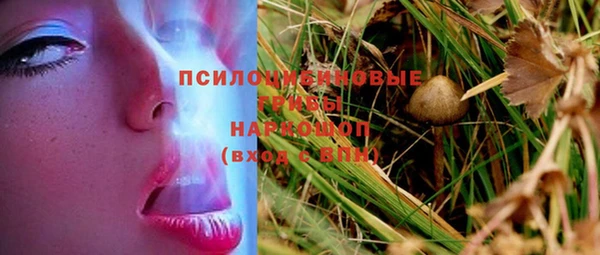 a pvp Алзамай