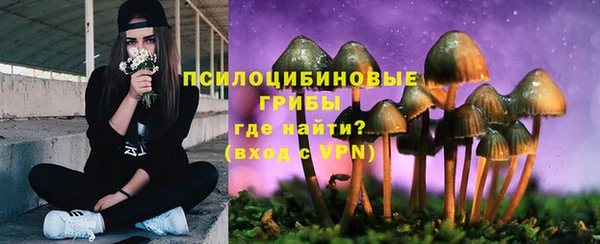 a pvp Алзамай