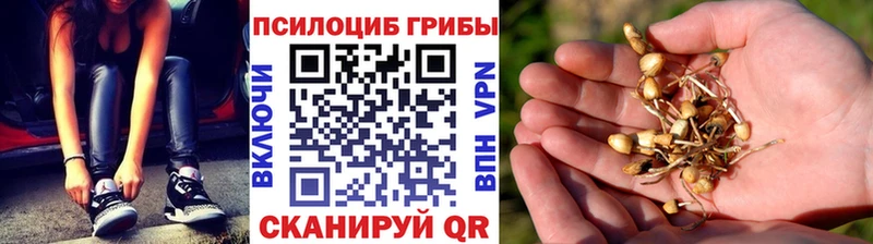 МЕГА сайт Челябинск Псилоцибиновые грибы мицелий